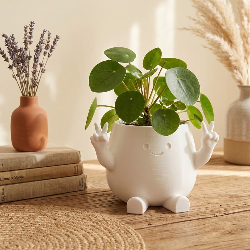 Peace Planter 4